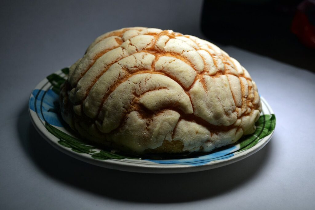 A concha, a round Mexican sweet bread with a crackled sugar topping, on a painted plate