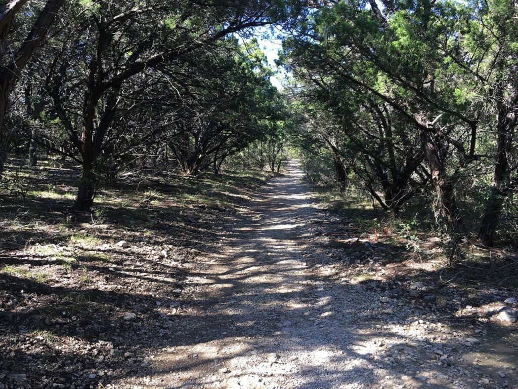 A rocky dirt trail running through a tunnel of live oak and juniper trees in dappled light at Eisenhower Park