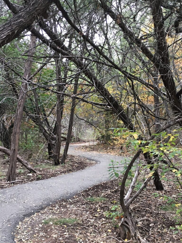 A narrow paved path curving through dense juniper and oak woodland at Friedrich Wilderness Park