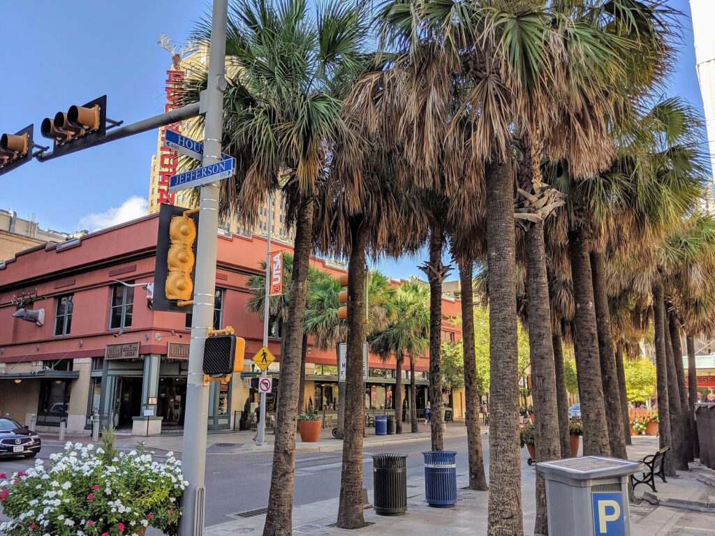 Palm-lined sidewalk at Houston and Jefferson streets downtown, with historic storefronts, a traffic signal and a parking pay station