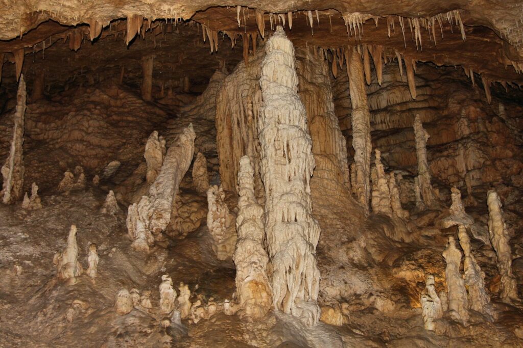 Pale stalagmites and stalactites crowding a chamber inside Natural Bridge Caverns