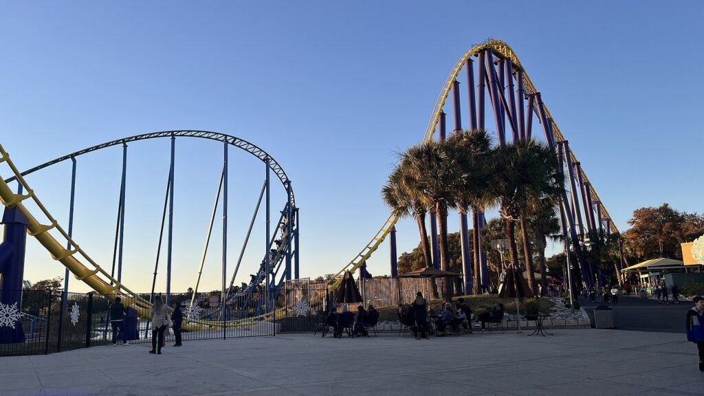 The purple and yellow Steel Eel roller coaster rising over palm trees at SeaWorld San Antonio in late-afternoon light