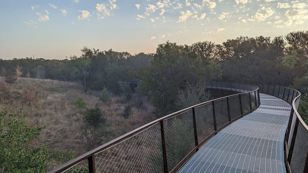 The Skywalk on the Robert L.B. Tobin Land Bridge curving over the wooded Hill Country landscape of Phil Hardberger Park, among the best parks and outdoor activities in San Antonio