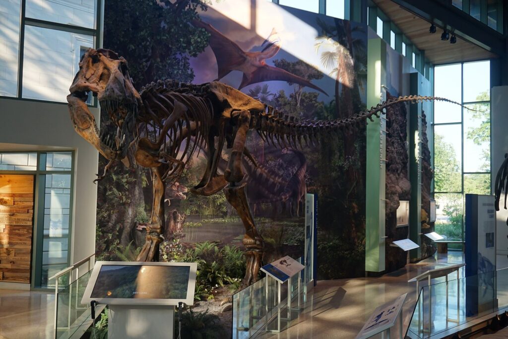 A mounted dinosaur skeleton in front of a painted prehistoric landscape in the Witte Museum's dinosaur gallery